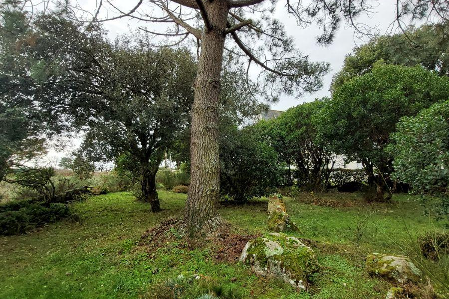 Vente maison, 102 m² à LA TRINITé-SUR-MER (réf. 35009/CM-305) - Photo 7