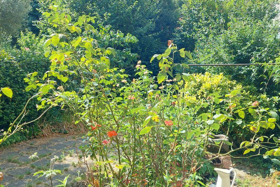 Vente maison, 160 m² à RENNES (réf. 35009/CM-330) - Photo 3